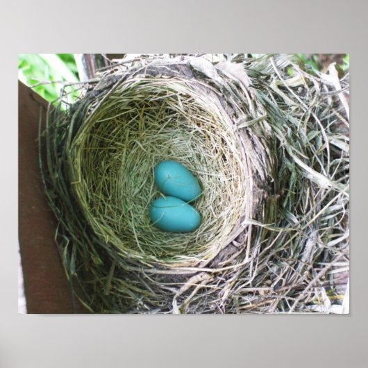 ロビかわいらしンの卵 ポスター (正面)