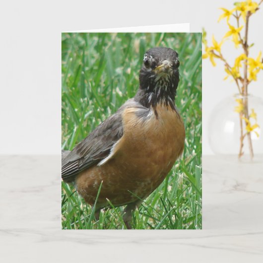 ロビかわいらしン カード (黄色い花)