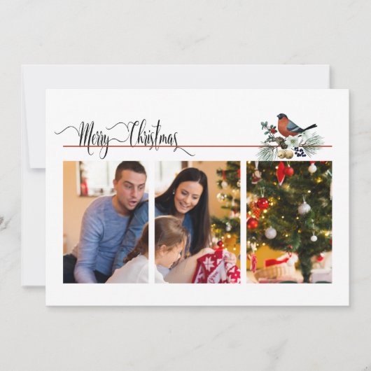 ロビモダンン・クリスマスの写真1枚または3枚 (正面)