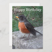 ロビンかわいらしフォト誕生日フラットカード (正面/裏面)