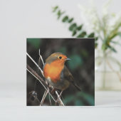 ロビンが退屈な日のアクリル美術で明るく 招待状 (スタンド正面)