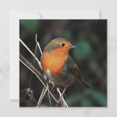 ロビンが退屈な日のアクリル美術で明るく 招待状 (正面)