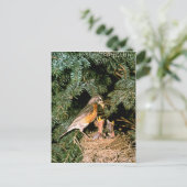 ロビンとひな ポストカード (スタンド正面)