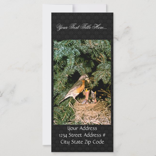 ロビンとチックス (正面)