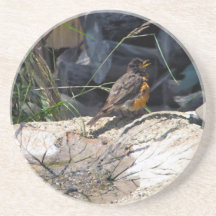 ロビンのコースター