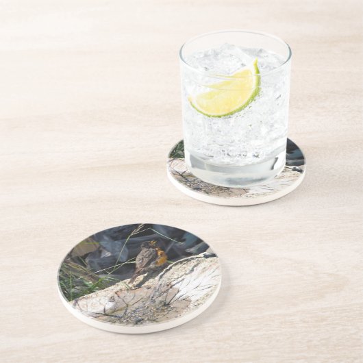 ロビンのコースター コースター (側面)