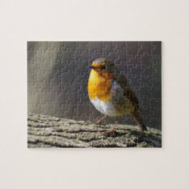 ロビンのジグソーパズル ジグソーパズル