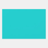 ロビンの卵の青無地の色 |クラシック |エレガント | ラッピングペーパーシート (正面2)