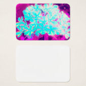 ロビンの卵ブルーペパーミントツイストフロックス花 (正面&裏面)