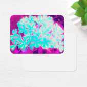 ロビンの卵ブルーペパーミントツイストフロックス花 (デスク)