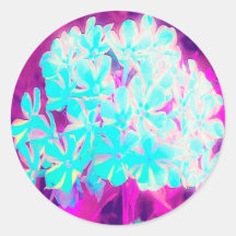 ロビンの卵ブルーペパーミントツイストフロックス花