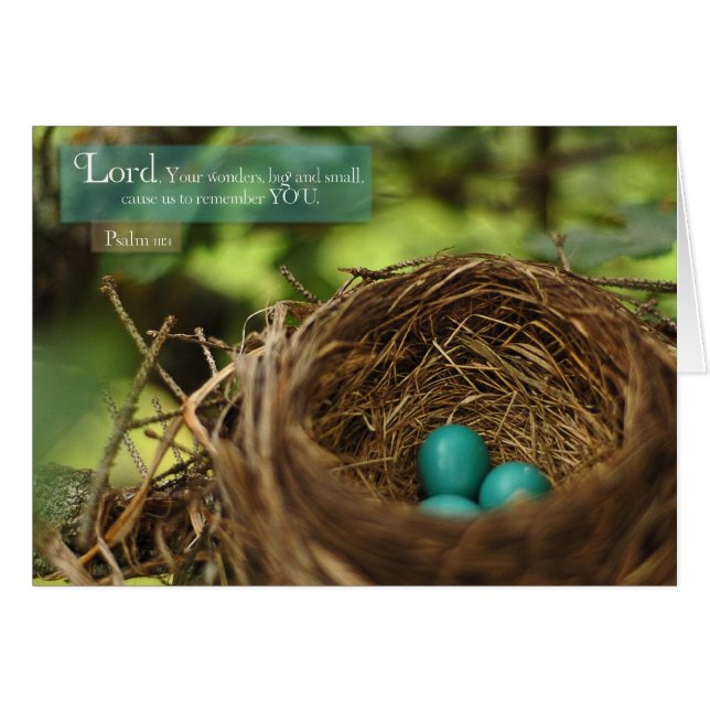 ロビンの巣 (正面横)