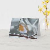 ロビンの挨拶状 カード (黄色い花)