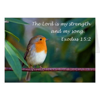 ロビンの歌カード