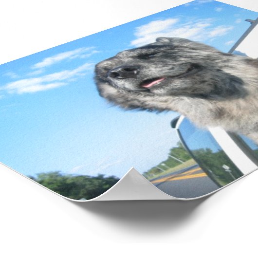 ロビンの生活 ポスター (角)