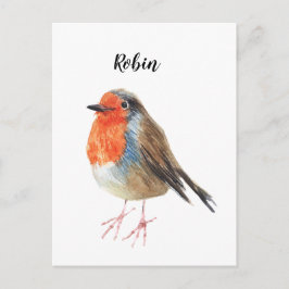 ロビンの絵を描水色の鳥。ナイスカード。 ポストカード