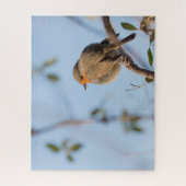 ロビンの自然写真 ジグソーパズル (縦)