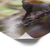 ロビンの自然写真 フォトプリント            (角)