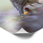 ロビンの自然写真 フォトプリント            (角)