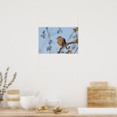 ロビンの自然写真 ポスター (キッチン)