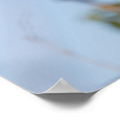 ロビンの自然写真 ポスター (角)