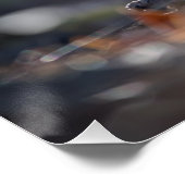 ロビンの自然写真 ポスター (コーナー)