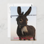 ロビンの長い耳 ポストカード (正面/裏面)