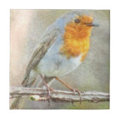 ロビンはゲイブリエルの水色だ タイル (正面)