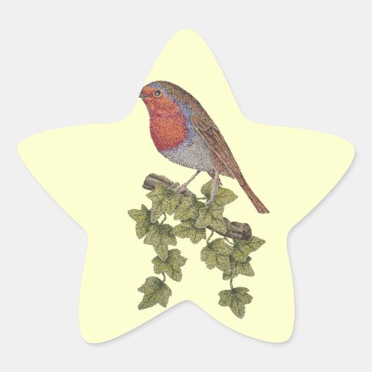 ロビンはツタの葉の野鳥に棲んでいた 星シール (正面)