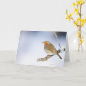 ロビンは冬に枝にとまっていた カード (黄色い花)