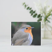 ロビンアップクローズ ポストカード (スタンド正面)