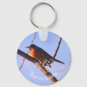 ロビンインスノーワイルドライフパーソナライズされた自然 キーホルダー (正面)