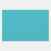 ロビンエッグブルー ラッピングペーパーシート (正面2)