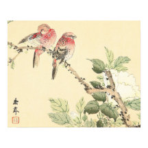 ロビンスと牡丹ヴィンテージの花鳥芸術