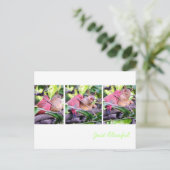 ロビンスの修復 ポストカード (スタンド正面)