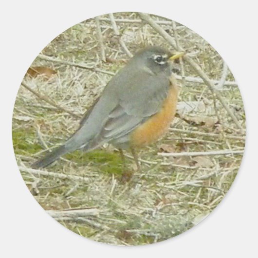 ロビンスティッカー ラウンドシール (正面)