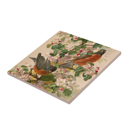 ロビンス1896 タイル (側面)