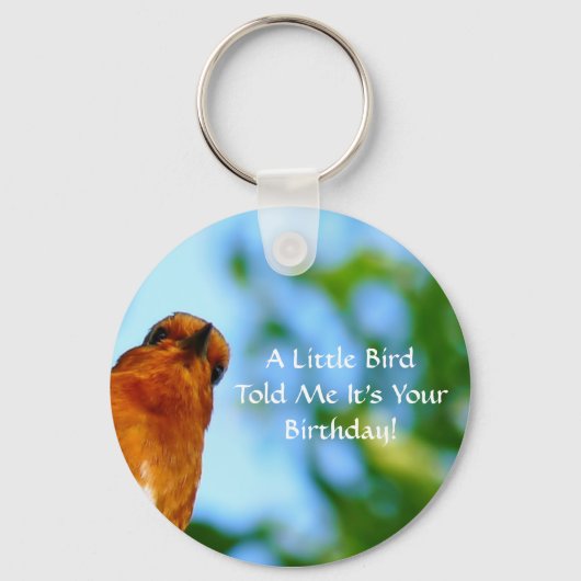 ロビンス キーホルダー (正面)