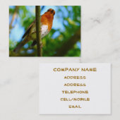 ロビンス 名刺 (正面/裏面)