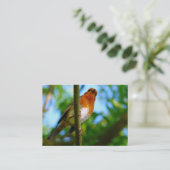 ロビンス 名刺 (スタンド正面)