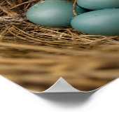 ロビンズエッグ ポスター (角)