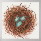 ロビンズネスト ポスター (正面)