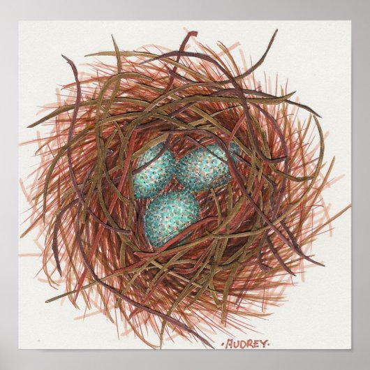 ロビンズネスト ポスター (正面)