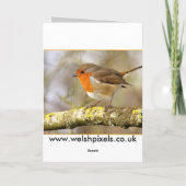 ロビンソングカード カード (裏面)