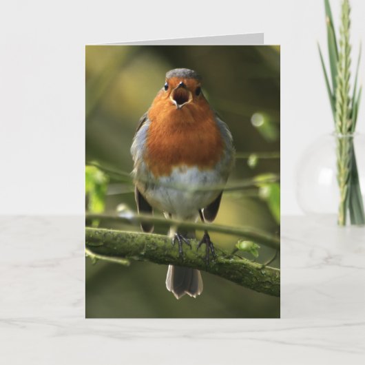 ロビンソングカード カード (正面)