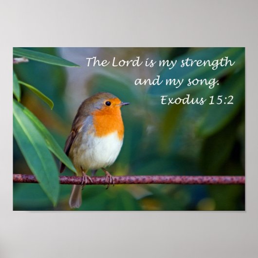 ロビンソングポスター ポスター (正面)