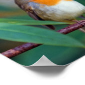 ロビンソングポスター ポスター (角)