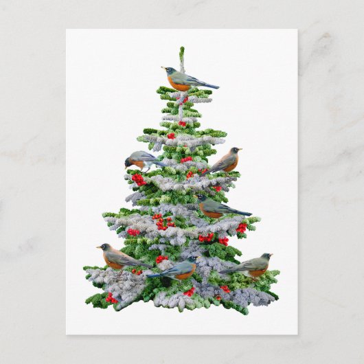 ロビンツリー ポストカード (正面)