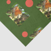 ロビンティッシュペーパー 薄葉紙 (詳細)