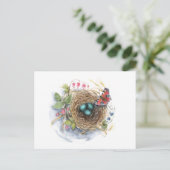 ロビンネスト ポストカード (スタンド正面)